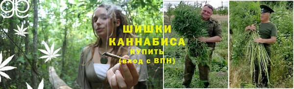 каннабис Арсеньев