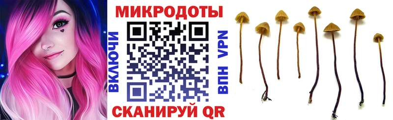 Псилоцибиновые грибы мицелий  blacksprut маркетплейс  Северо-Курильск 