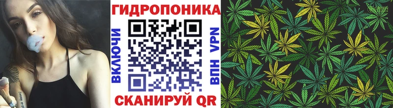 Бошки марихуана конопля  Северо-Курильск 